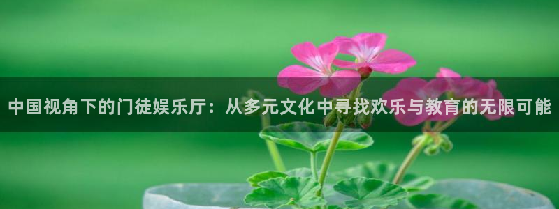 壹号app下载：中国视角下的门徒娱乐厅：从多元文化中寻找欢乐与教育的无限可能