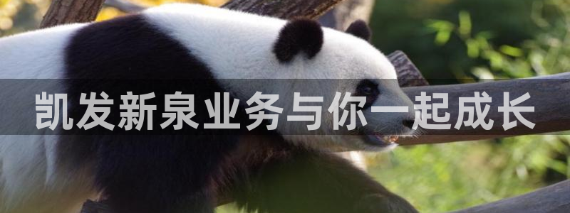 辉达娱乐注册链接：凯发新泉业务与你一起成长