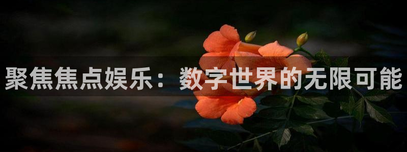 壹号大舞台：聚焦焦点娱乐：数字世界的无限可能