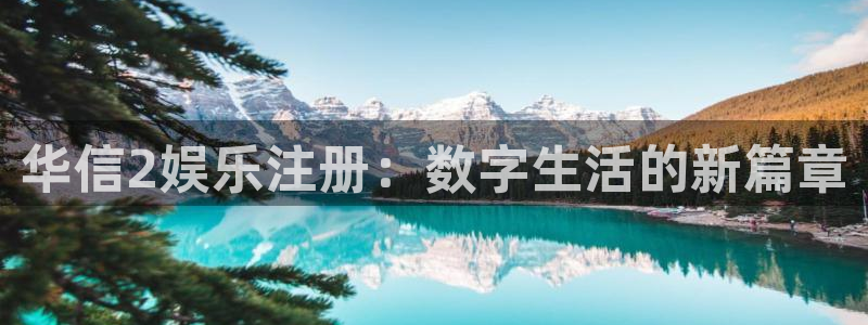 辉达娱乐官网版下载链接：华信2娱乐注册：数字生活的新篇章