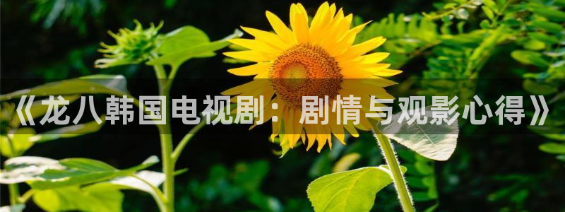 辉达娱乐电子游戏官网：《龙八韩国电视剧：剧情与观影心得》