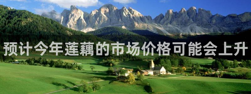 辉达app官网：预计今年莲藕的市场价格可能会上升