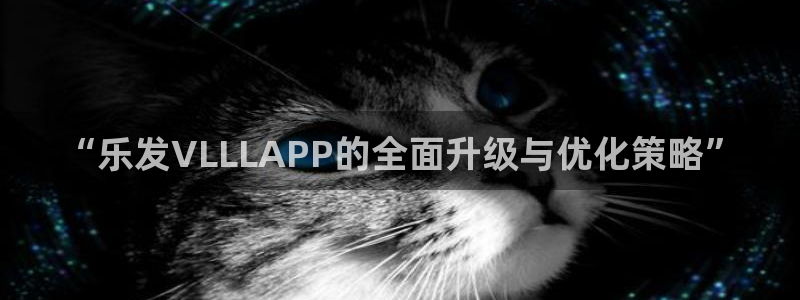 壹号电子娱乐app下载安装最新版本：“乐发VLLLAPP的全面升级与优化策略”