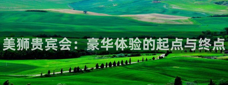 壹号大舞台：美狮贵宾会：豪华体验的起点与终点