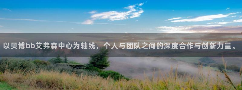 辉达娱乐app哪个模式容易赢：以贝博bb艾弗森中心为轴线，个人与团队之间的深度合作与创新力量。