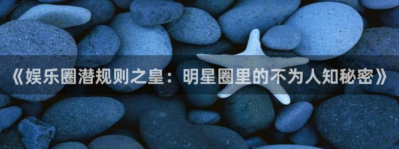 辉达娱乐路线1：《娱乐圈潜规则之皇：明星圈里的不为人知秘密》