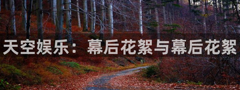 辉达娱乐app网页入口：天空娱乐：幕后花絮与幕后花絮