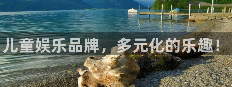 辉达娱乐ccm麻将胡了：儿童娱乐品牌，多元化的乐趣！