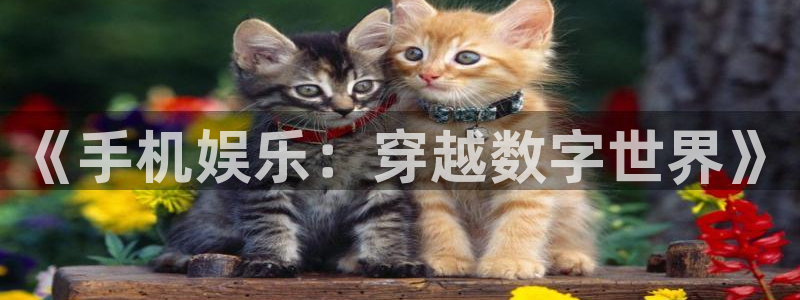 辉达娱乐注册网站：《手机娱乐：穿越数字世界》