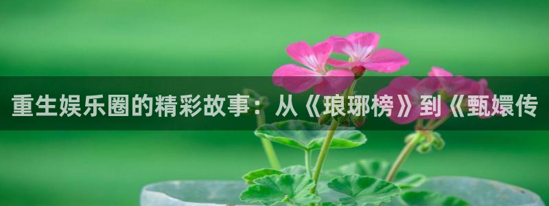 辉达娱乐.ccm官网版：重生娱乐圈的精彩故事：从《琅琊榜》到《甄嬛传