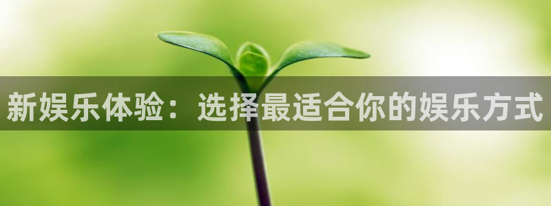 辉达娱乐预测pc在线预测网址：新娱乐体验：选择最适合你的娱乐方式