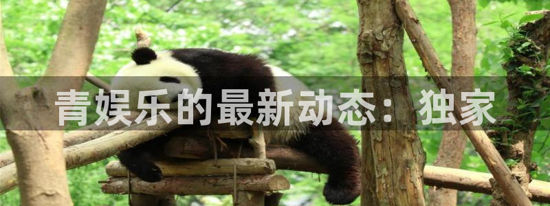 辉达娱乐注册入口与教程：青娱乐的最新动态：独家