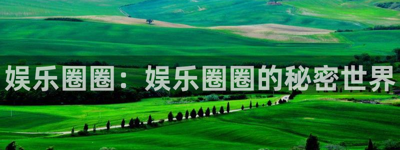 电子游戏辉达娱乐：娱乐圈圈：娱乐圈圈的秘密世界