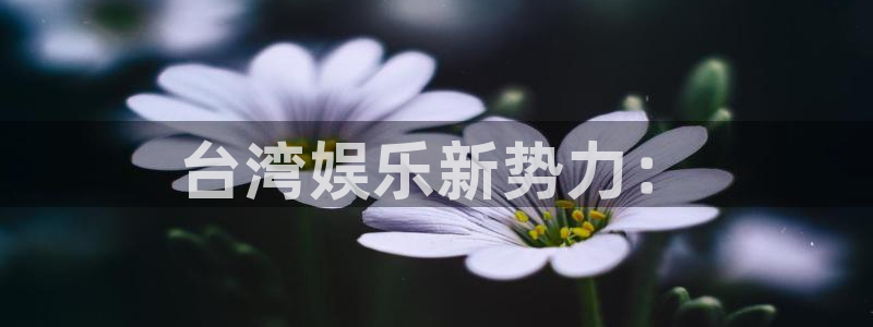 辉达登录注册入口：台湾娱乐新势力：