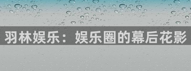 辉达娱乐app最新版：羽林娱乐：娱乐圈的幕后花影