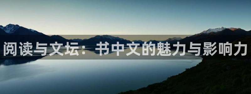 辉达娱乐注册网站app：阅读与文坛：书中文的魅力与影响力