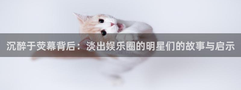 成辉达：沉醉于荧幕背后：淡出娱乐圈的明星们的故事与启示