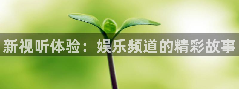 辉达娱乐.ccm：新视听体验：娱乐频道的精彩故事