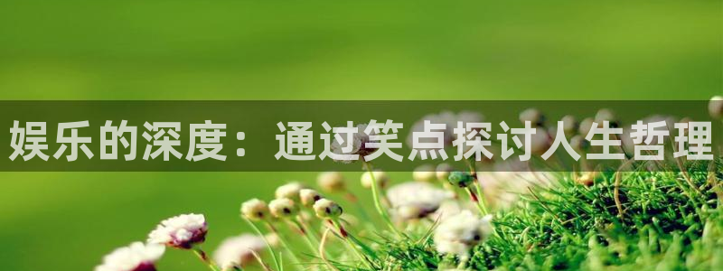 辉达平台主管：娱乐的深度：通过笑点探讨人生哲理